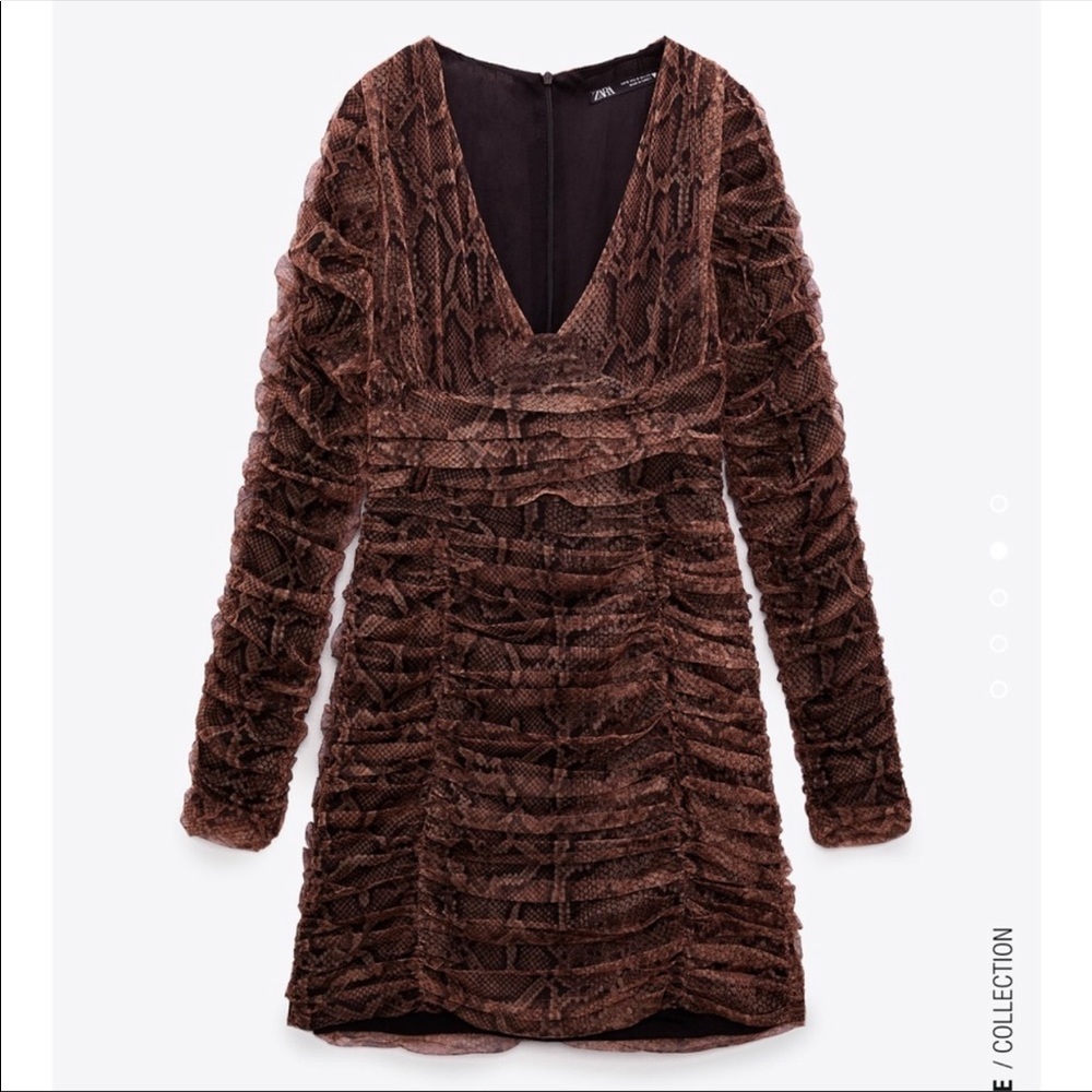 Zara Draped Tulle Mini Dress